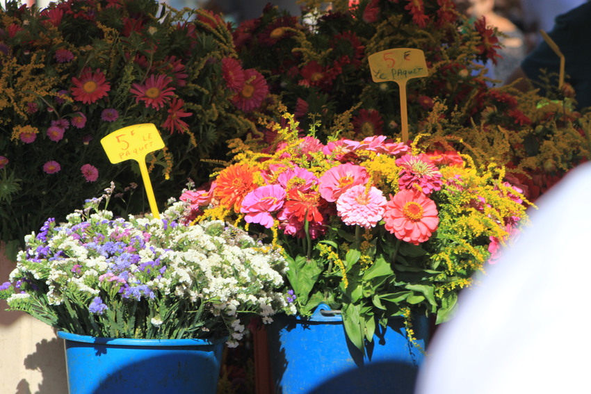 Market Day in Prigueux 