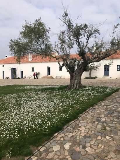The Transformation and Revival of a Country Estate in the Portuguese Alentejo